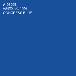 #19509B - Congress Blue Color Image